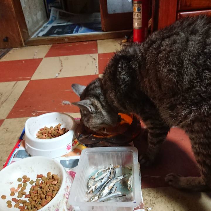 5bc7d383 a2fe 4f6e bb30 bc4307e7903a 1591733140463