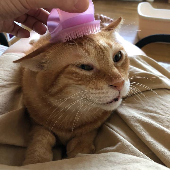 5bc7df26 e505 4b5c 8afc 637c17456fcb 1598170429753