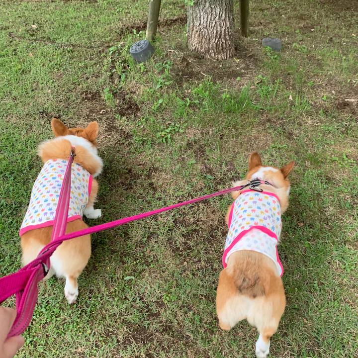 5bc82f0f cb30 4658 8f9d cf42539cefbe 1562061892608