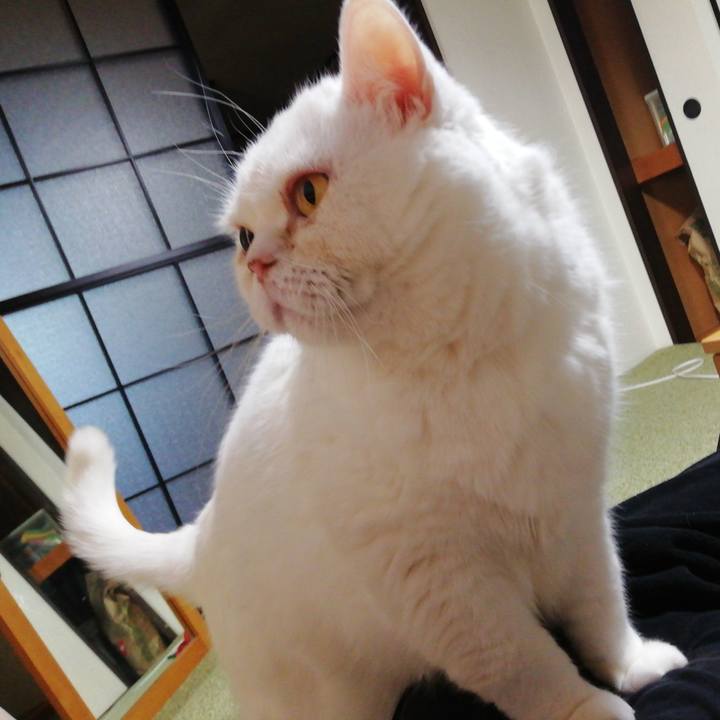 5bc869ca 45aa 4425 864f 3c8c6be9faf0 1739258327706