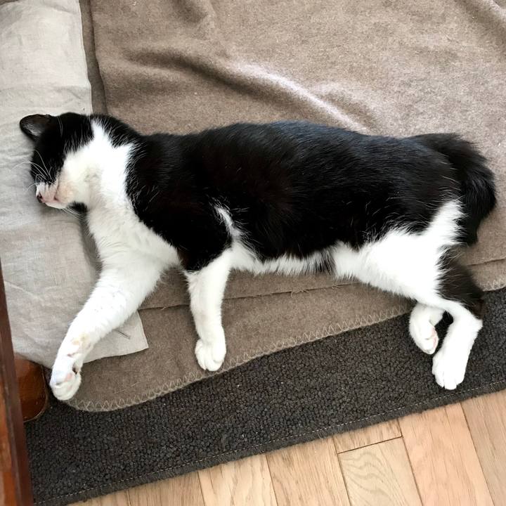 5bc86e44 ebca 4f8c baa6 5157b3125154 1549854797806