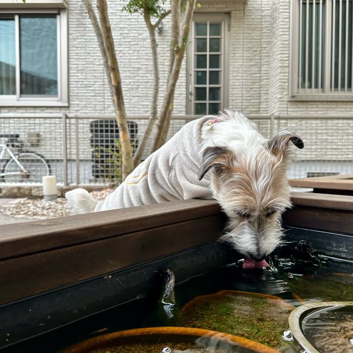 5bc87aff 0482 4e83 8bcd 6d197317c547 1706450198822