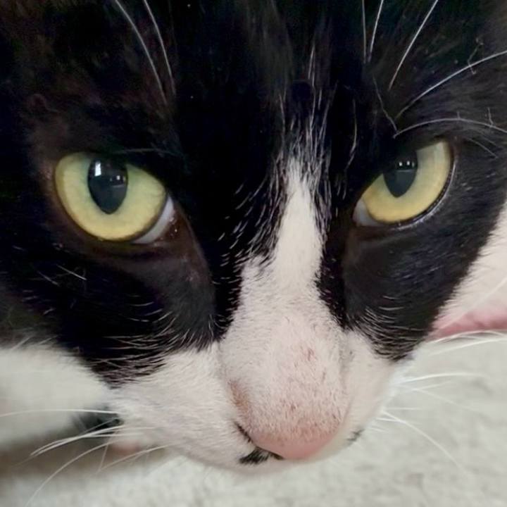 5bc87ede f7c9 4577 93b5 8725a38c053e 1746062197943