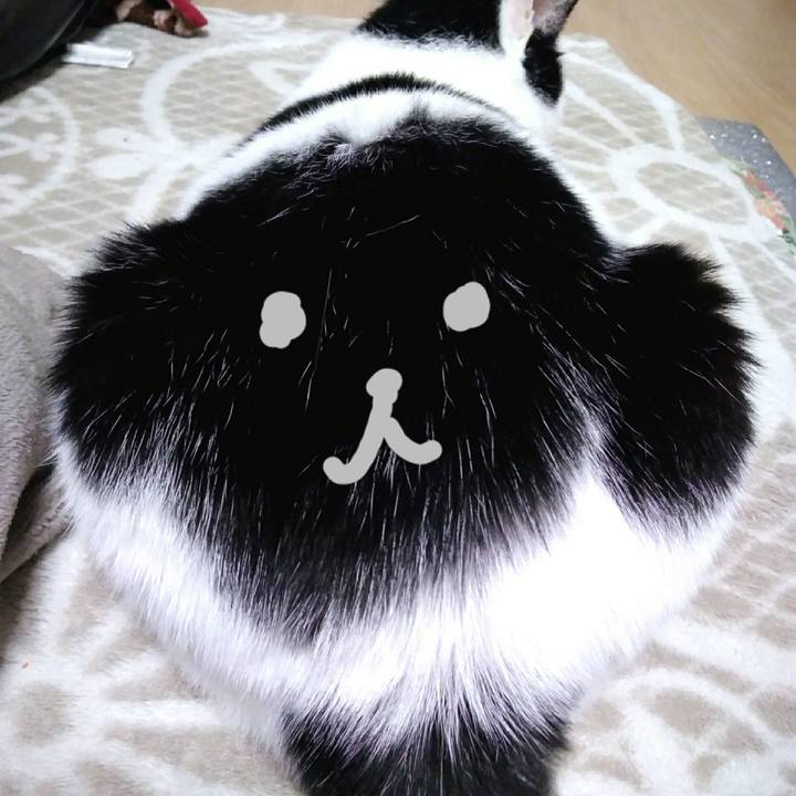 5bc885c5 b993 4263 beb7 6a993a3e3aeb 1551525617023