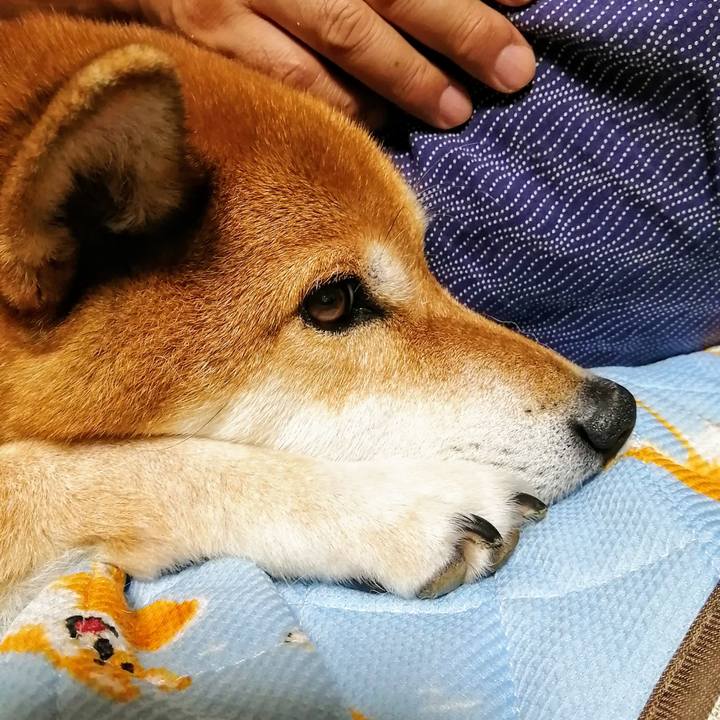 5bc8939d 3f08 4bc7 b706 38a5d70f6d46 1629385002307