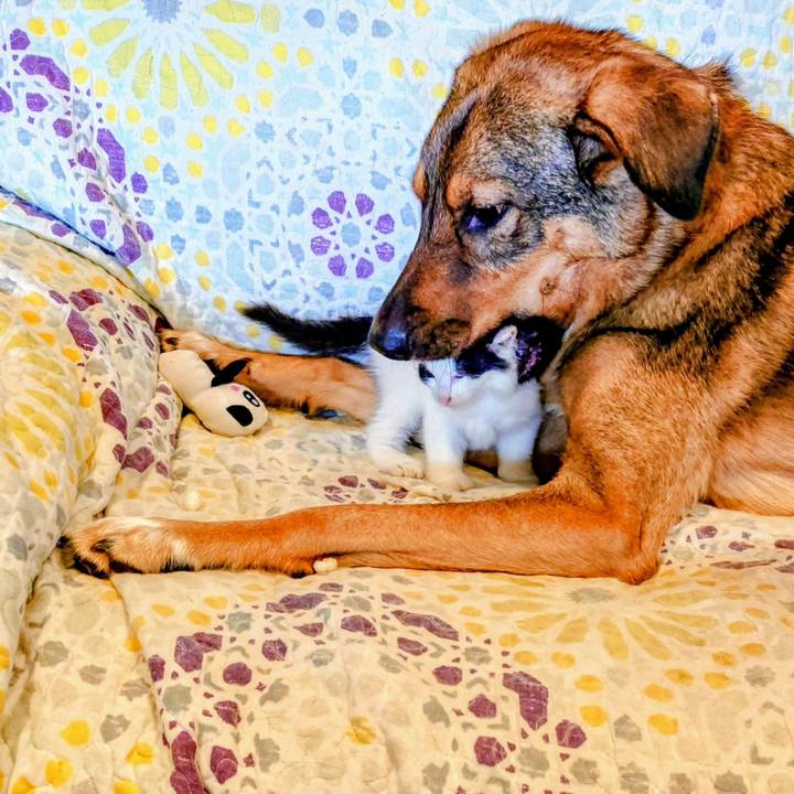 5bc895bf 80a8 48f7 af22 c4a9044c372f 1757899689548