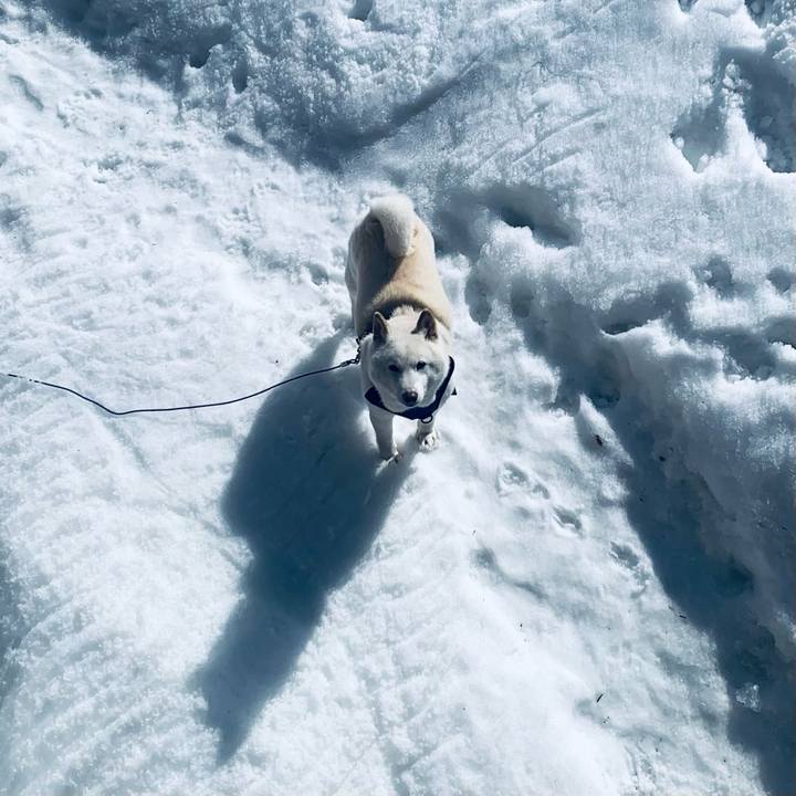 5bc8aa2e d61e 4978 a4ec fc6ea4e07b80 1646885545381