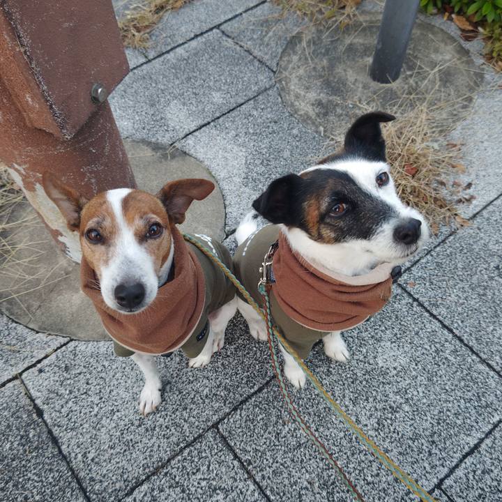 5bc8aaa5 d86d 46fa 96f3 f52f362fd55e 1733177168406