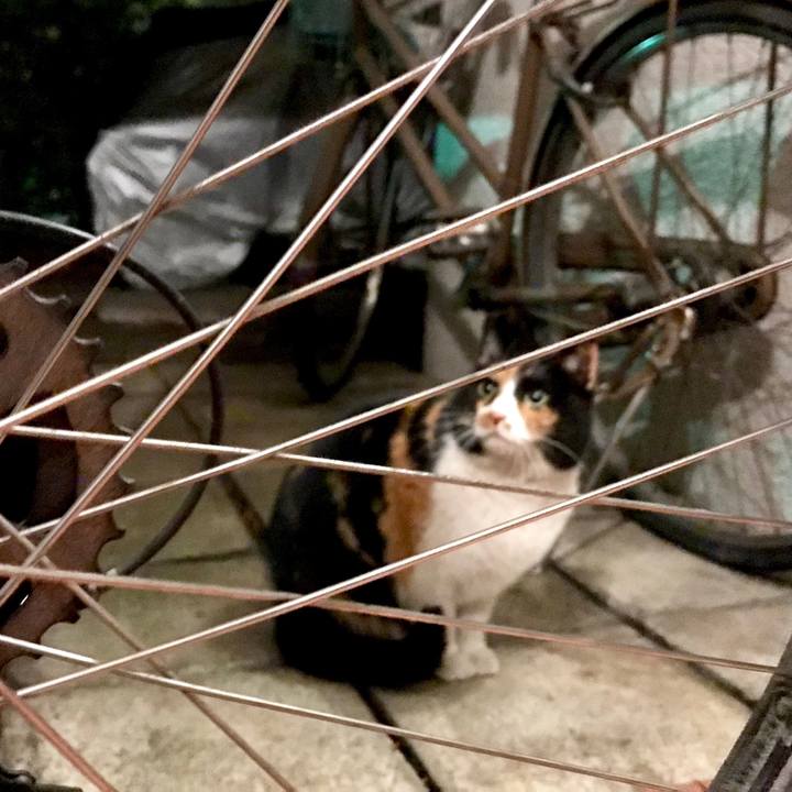 5bc8e013 cef7 4b34 a089 658d18a08f86 1549149220070