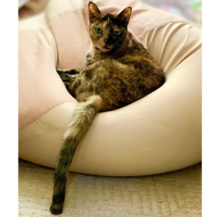 5bc8e5b1 011d 4bb7 a12c 67814cde0e07 1563533297165