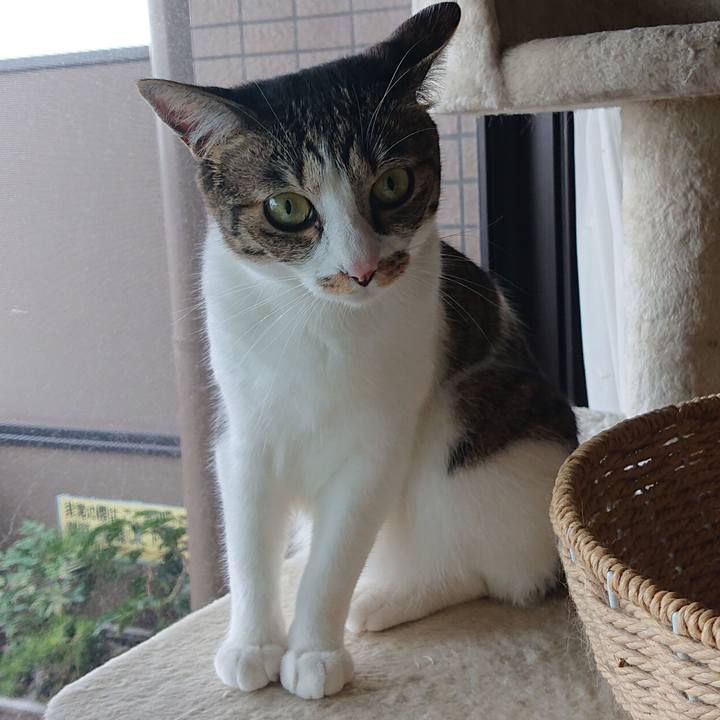 5bc8e9b6 21ed 4496 9944 e3e2c25ea57b 1595643235290