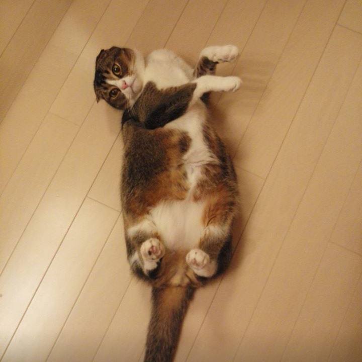 5bc8f037 6879 4638 bfa5 f0a8a4cf3a32 1547269912404