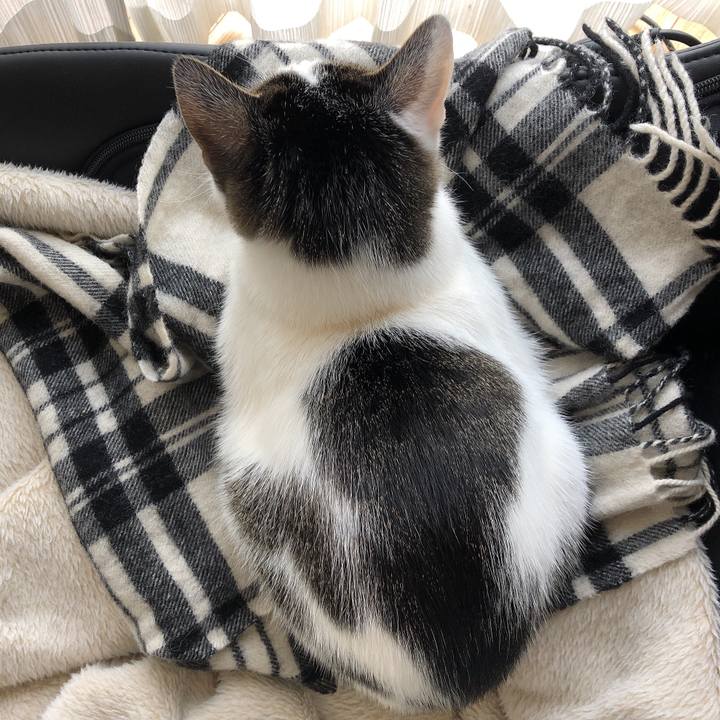 5bc8f509 6288 41df 8157 2c208b99e9a5 1583191376989