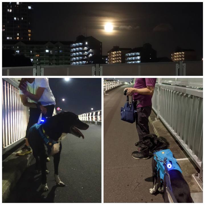 5bc93cbf 7e54 4461 8a93 fa5e597324f8 1693479528607