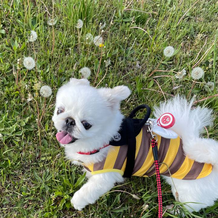 5bc951c8 03e0 4c93 88aa 697425569292 1715316724638