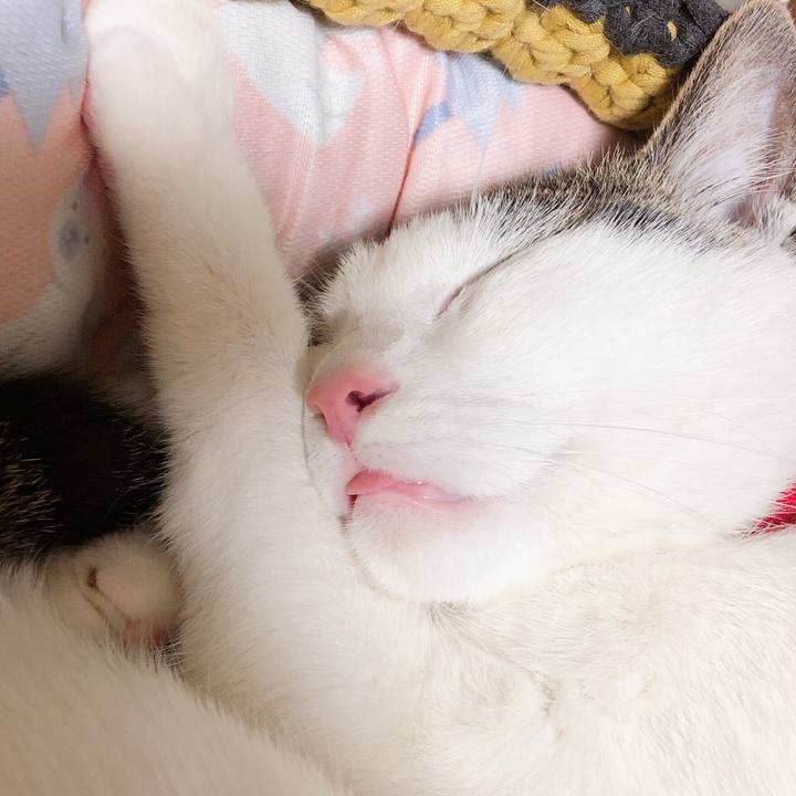 5bc99077 5413 491a 811c 332c7eab381b 1590153353735