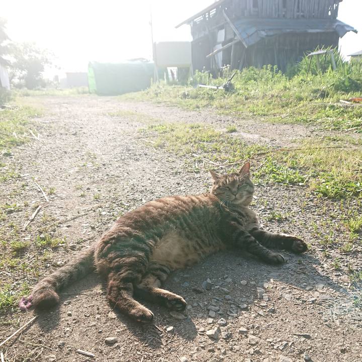 5bc99a7a 2ef4 4b44 9e01 5796b21d3560 1653861372161