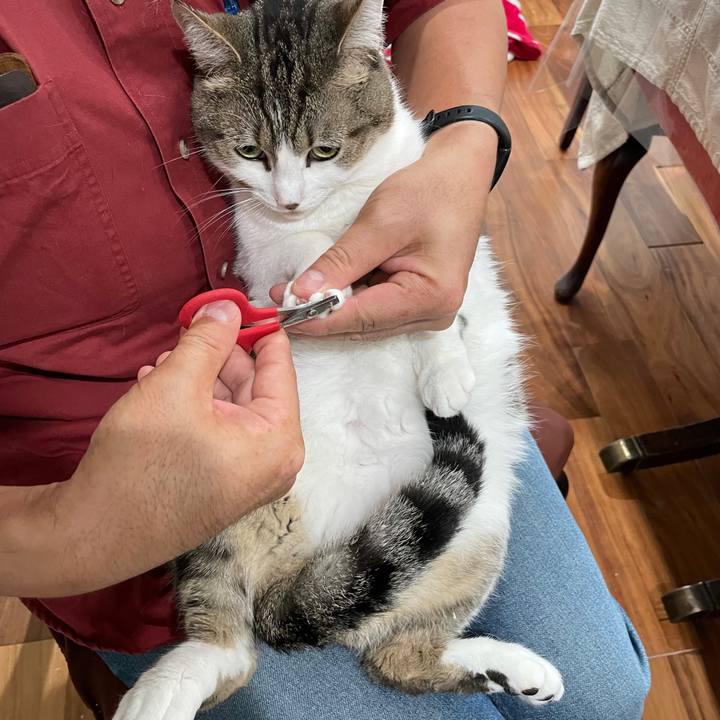 5bc9e702 45e6 40a2 812d 96b77c93baf2 1695344455521