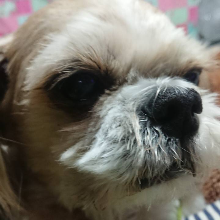 5bc9f0f9 fbec 45b2 b8c0 44ab61b36089 1581498387581