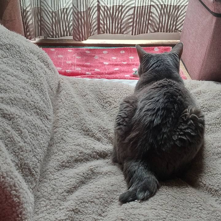 5bc9fc13 11c1 4922 bbb6 fd3cffab4262 1681780432055