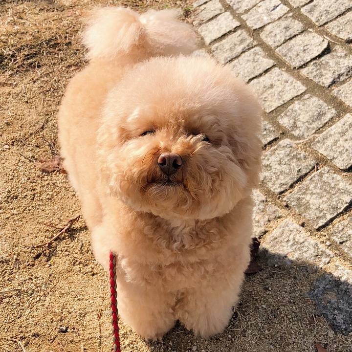 5bc9fd60 30b3 4730 ba2b 913173bb0890 1512184760020