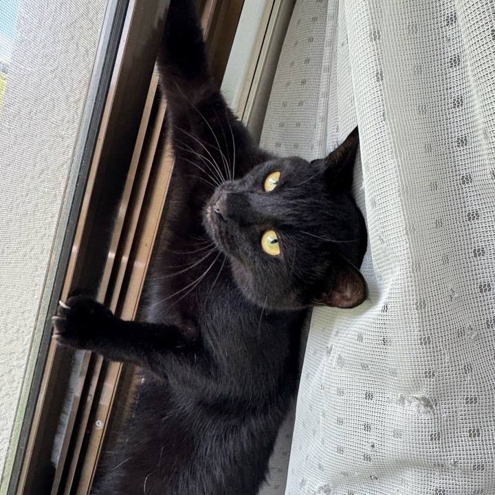 5bca0ad2 c2d9 4050 8d75 af3111c28cf5 1752367421929