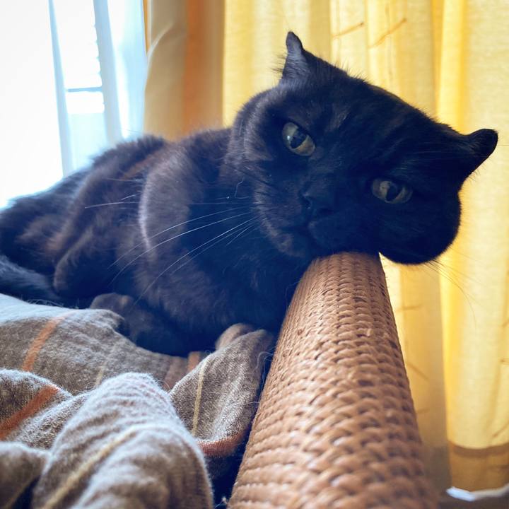 5bca0ce9 b601 445c 9d60 2e61bd97aba6 1590541696803