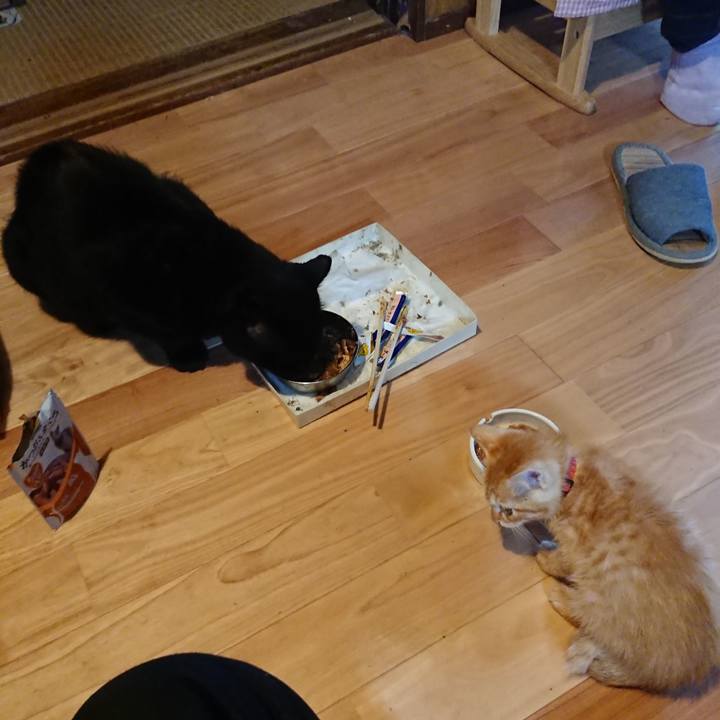 5bca3c85 8092 43e4 b803 122ac12ebb38 1628844096155