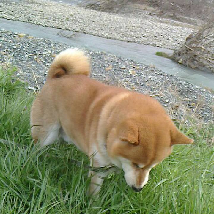 5bca4fc0 2eb7 4177 b444 ab9d3295c8a5 1551936924700