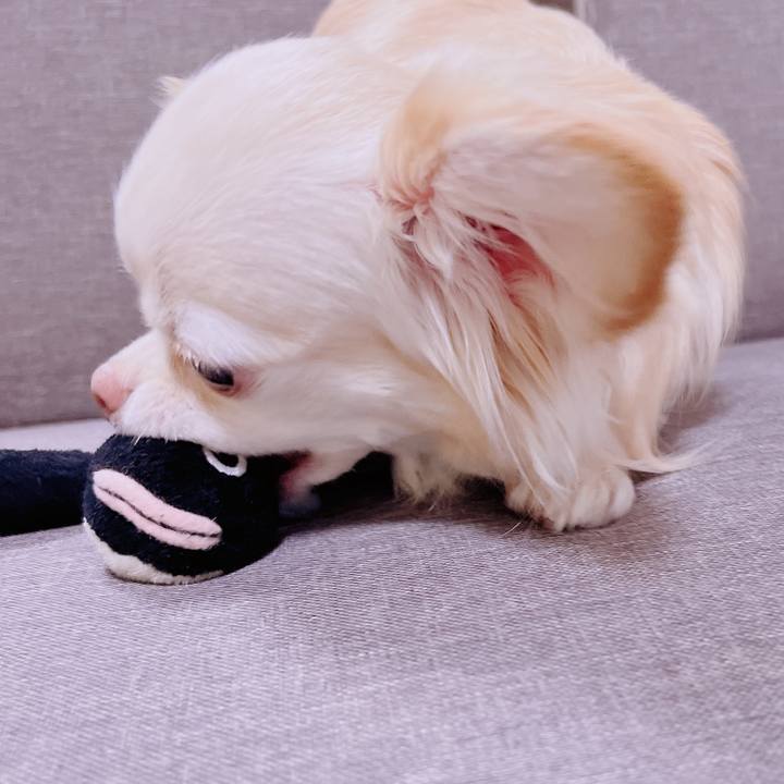 5bca5511 aa89 4f6f 906e c5574938215f 1680694659405