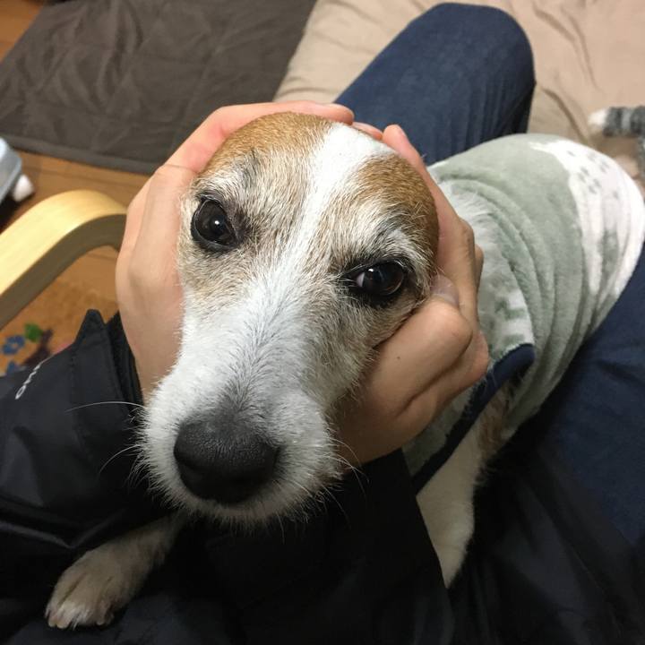 5bca6dd8 26d4 4312 ba00 61f9c083d38c 1616891735507