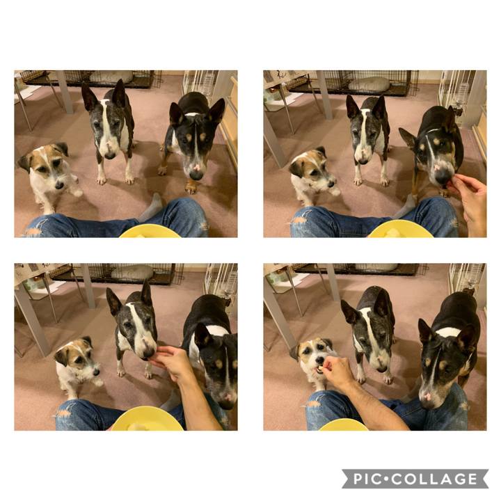 5bca6f7b 47fa 4c3a 911a 1018a0a3a563 1603193724523