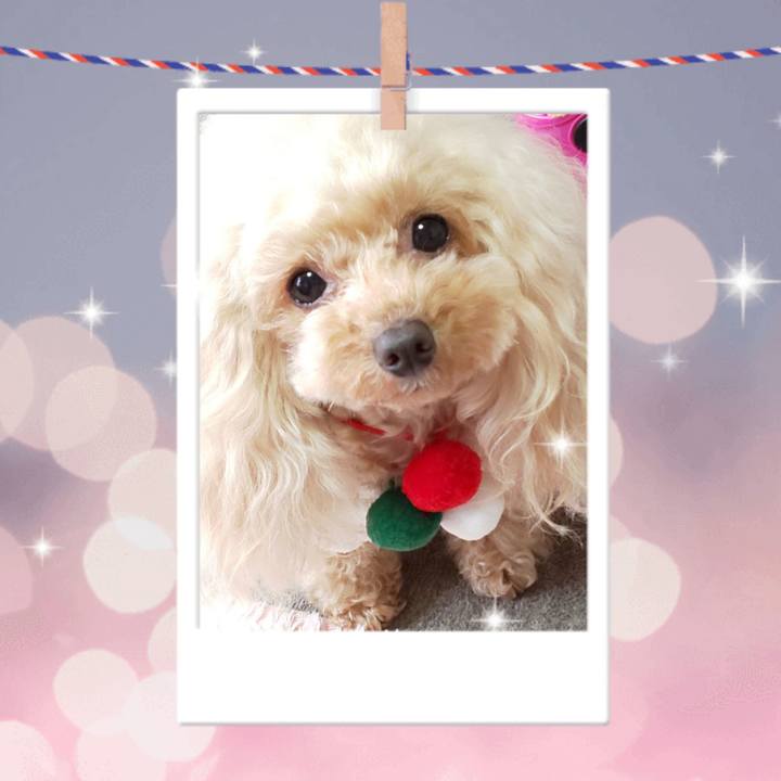 5bca7865 9fa1 47fb a28e c741c793a69e 1581311424008