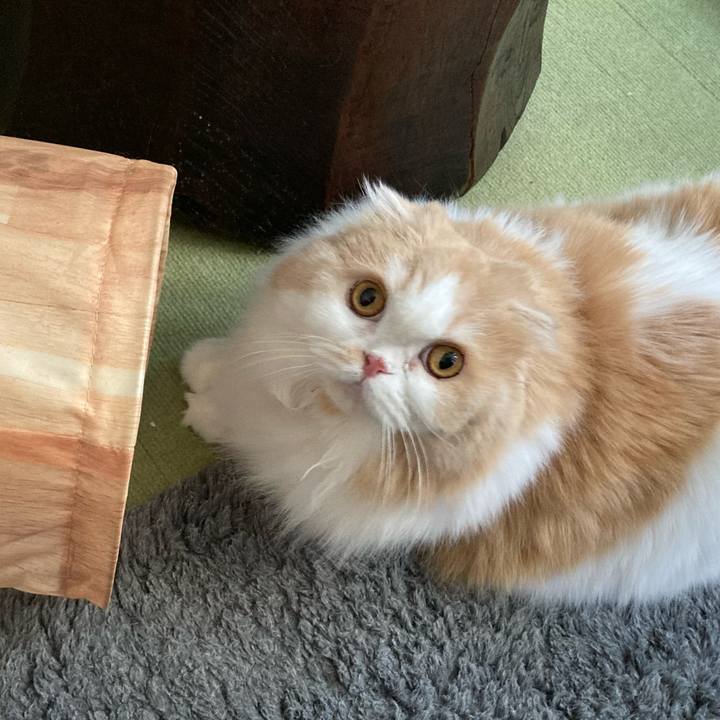 5bca7e6a b6b3 4e89 8915 c40082a2749e 1610110823018