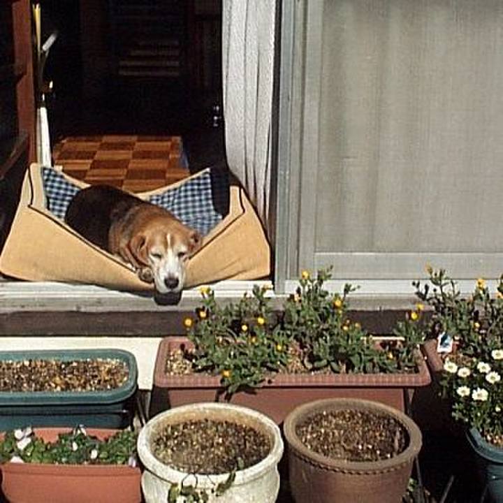 5bca900d d3fb 4e2b af47 486535663b97 1638060986872