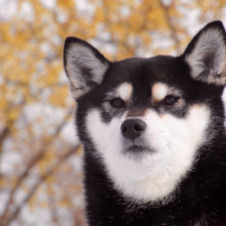 5bcace96 8974 4be8 8fd1 ee32e052c792 1550208677301