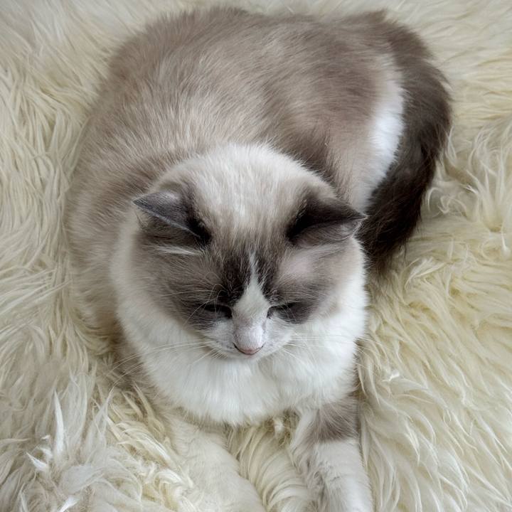 5bcacf8d e2f9 4c33 a8fc 7f521402b566 1754263966521