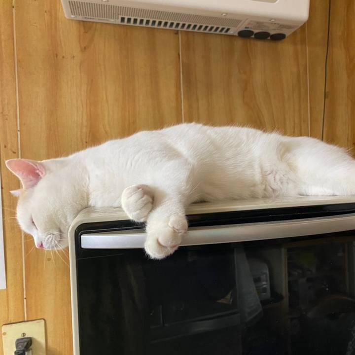 5bcad278 a573 47f3 a544 e874264ab3e3 1616365805324