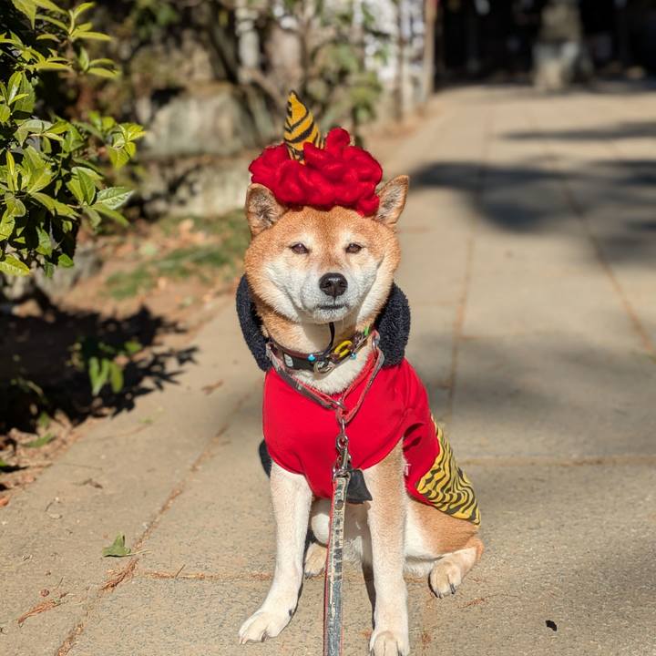 5bcb12b9 45b3 4652 b9ad 9badb6f5b394 1770021553196