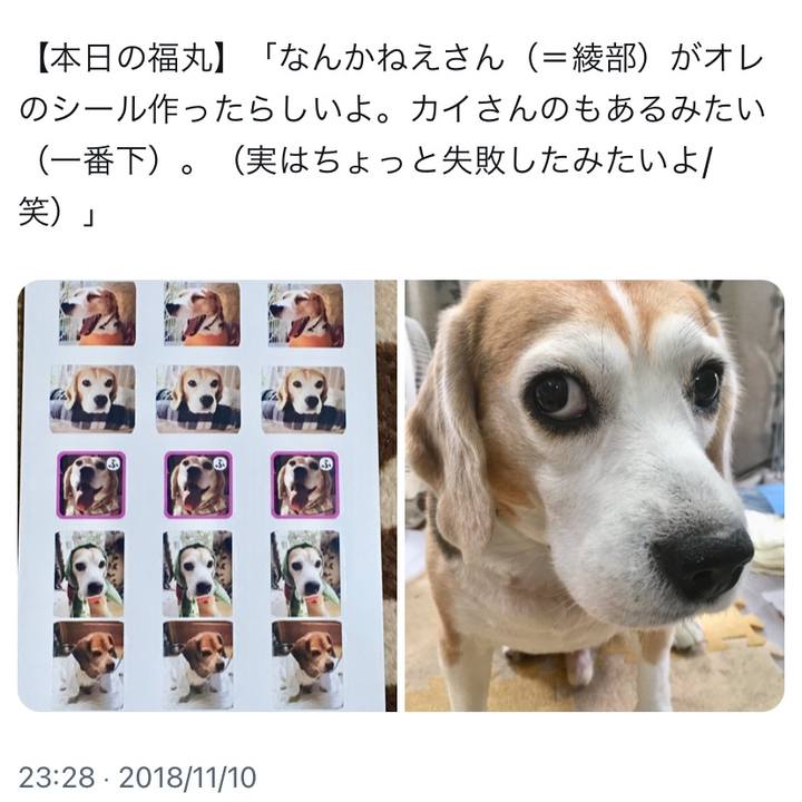 5bcb1c4f 5cec 413c 867e c8627c98b369 1731212414880