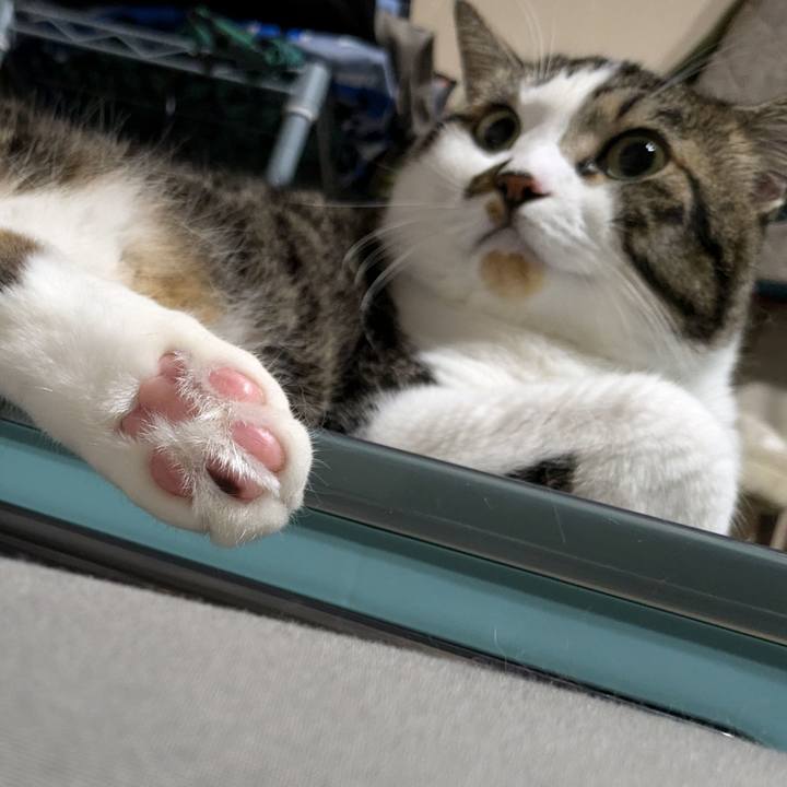 5bcb3856 48ec 4da8 81bf e5f2955f56c2 1721821013425