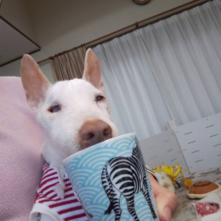 5bcb3ab2 946d 4af7 b438 db6e1db275a5 1605222667261