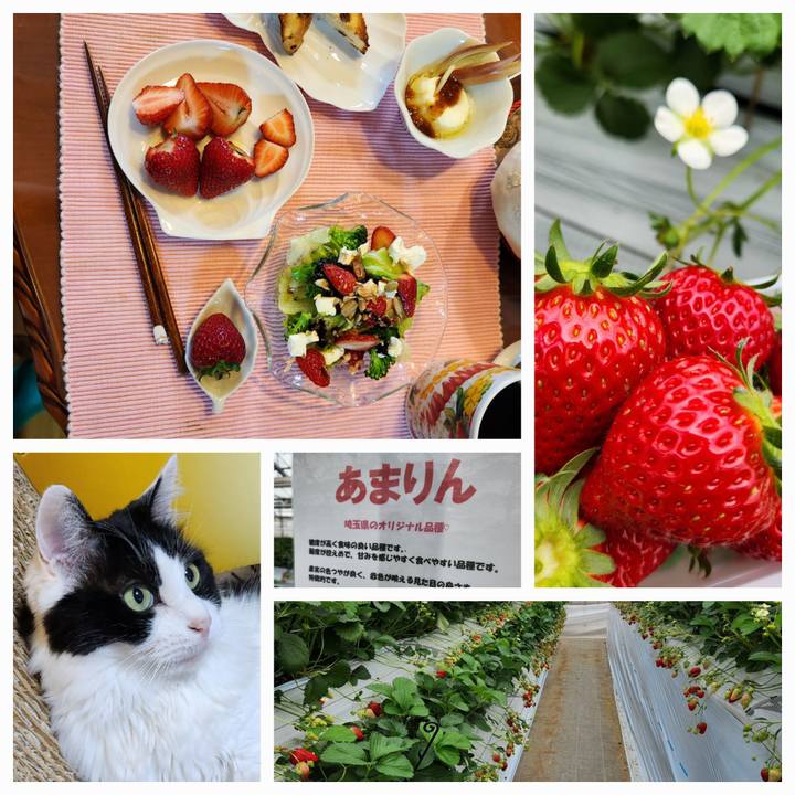 5bcb53fa be9a 4ea1 b292 85e71a928621 1713526737459