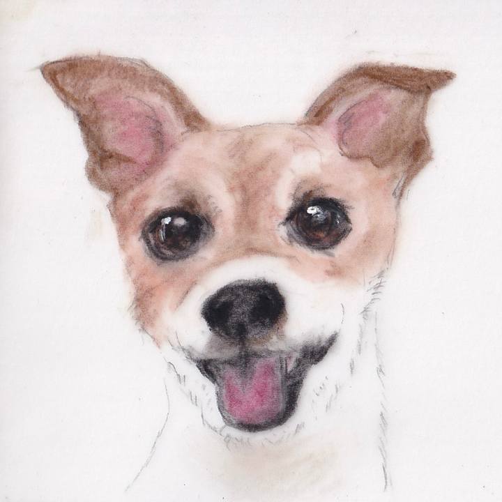 5bcb9a58 2575 49f4 b812 52832e1a694d 1676626708239