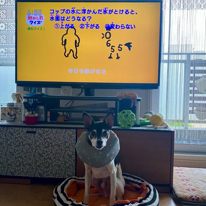 5bcba78e 8c75 48f2 9c19 e51bf84658d4 1620165446410