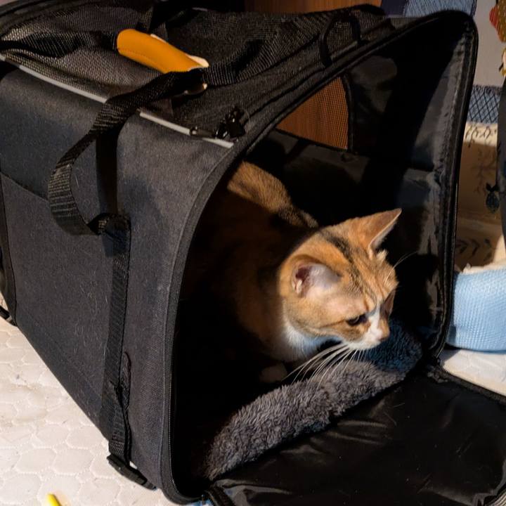 5bcbcb37 3df0 470c 87f5 a0e6cc391cf2 1765129800165