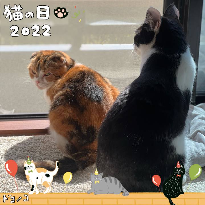 5bcbdd3b 1bb9 4231 b76b b00a8a8a548f 1645505864953