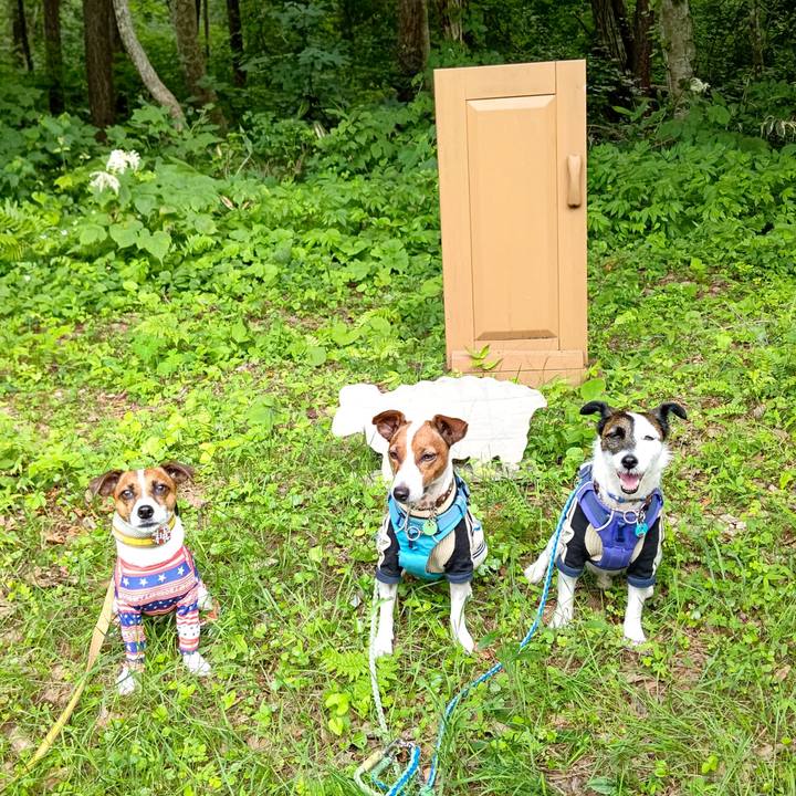 5bcc21dc fe34 4f46 846d d6bb4886dbcf 1658126622140