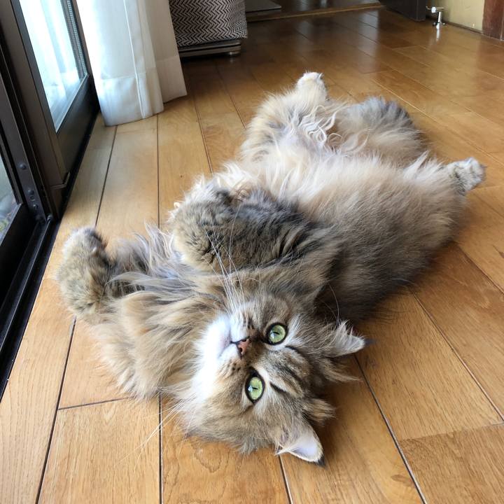 5bcc7288 3124 4bcd a9f8 9f8c807b9dd3 1557097288470