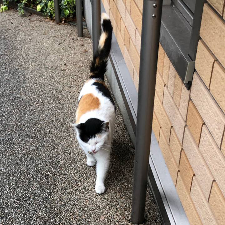 5bcc7a1a c722 44c6 8632 cec200a77033 1616284090022